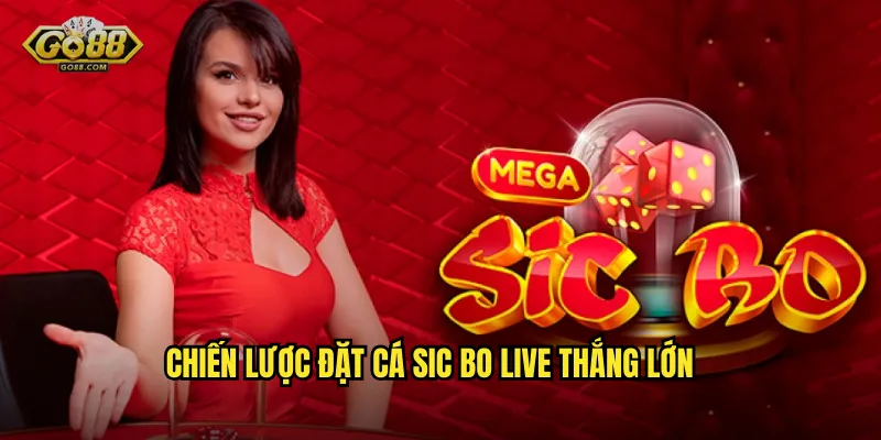 Chiến Lược Đặt Cá Sic Bo Live Thắng Lớn